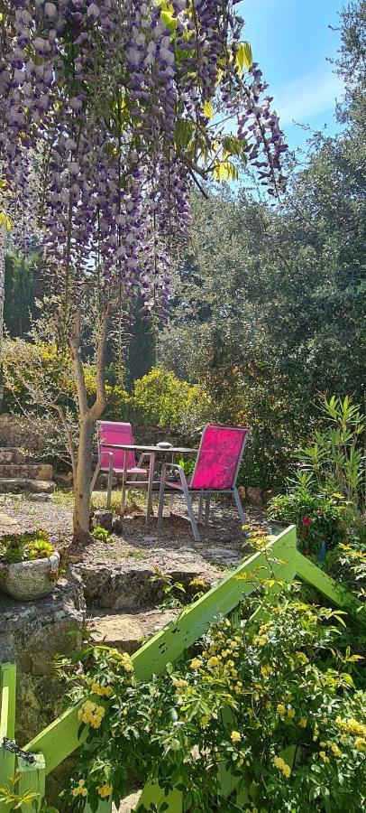 Studio De Charme + Terrasse : Verdon, Lac, Plages Claviers Bagian luar foto