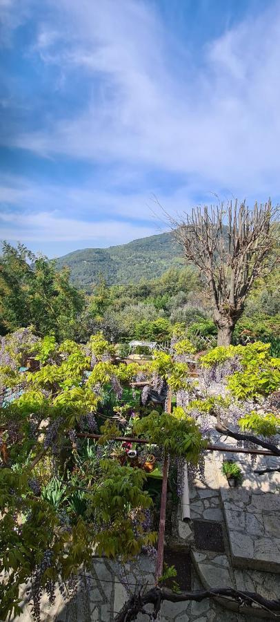 Studio De Charme + Terrasse : Verdon, Lac, Plages Claviers Bagian luar foto